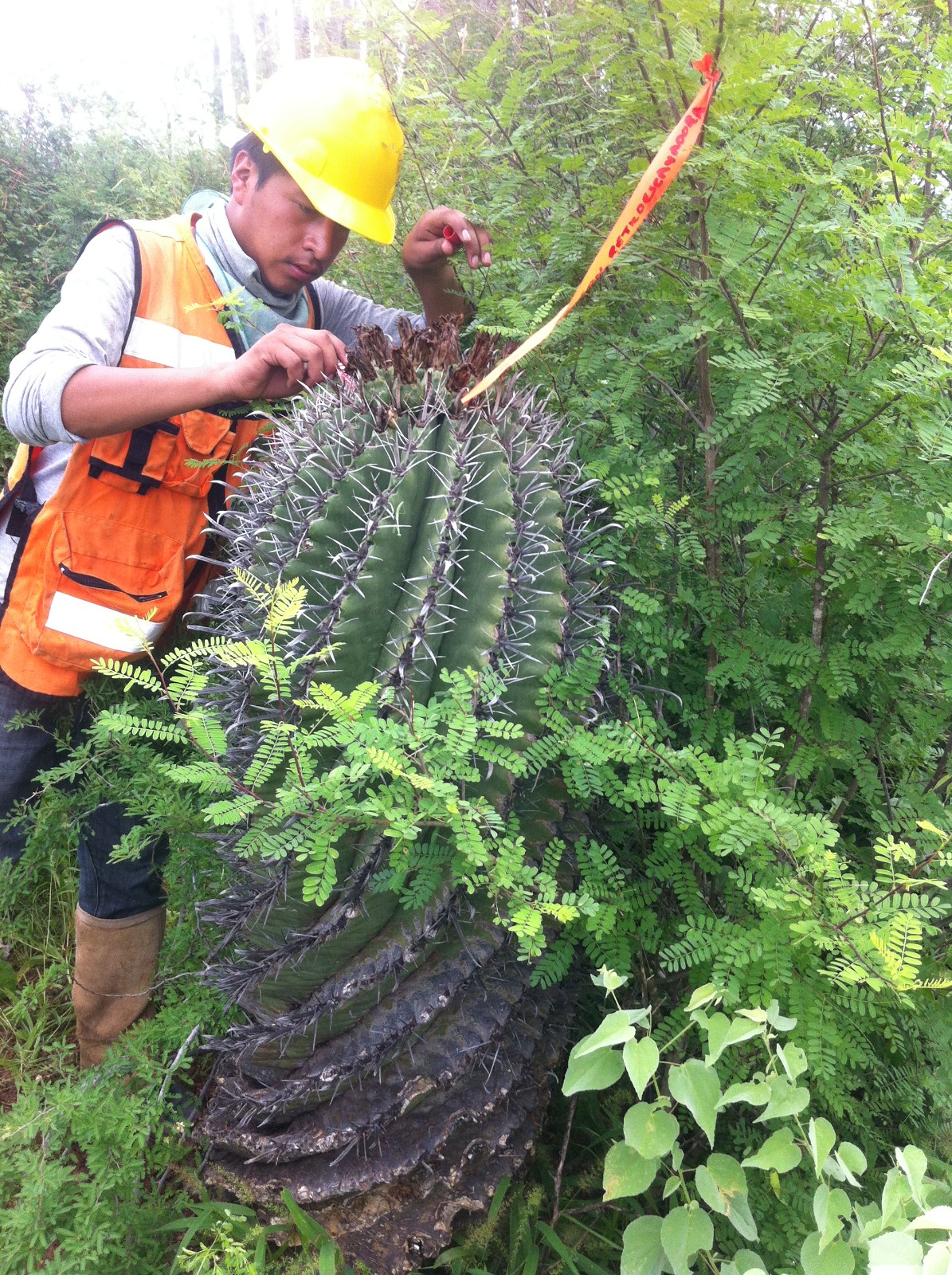 Seguridad Industrial